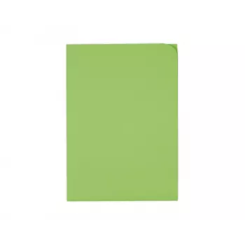 ELCO Ordo Discreta dokumentu mape A4, 220 x 310 mm, 120 g/m², intensīvi zaļa, 100 gab. (29466.62)