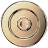 Popsockets Round Radial Gold Aluminum MagSafe Phone Grip & Stand Gold 807259