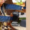 Cecotec Cecoraptor Perfect Drill 2020 Brushless Ultra bezvadu urbjmašīna-uzgriežņatslēga
