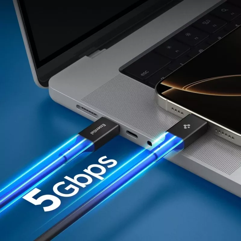 SPIGEN EB10020CC Essential USB-C to USB-C kabelis 100W 200cm Melns