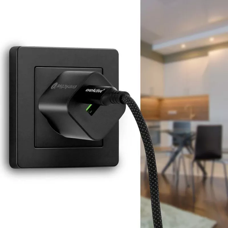 USB-C to USB-C kabelis 100cm 100W PD LCD Displejs everActive CBB-1PD5L