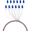 EFB FTTH Pigtail komplekts LC OS2 G.657.A2 12 krāsu, 2m, viļņvada 9/125µm, liekšanās izturīgs, 12 šķiedras