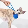 Cheerble Wicked Ball Air Rope suņu rotaļlieta, Royal Blue