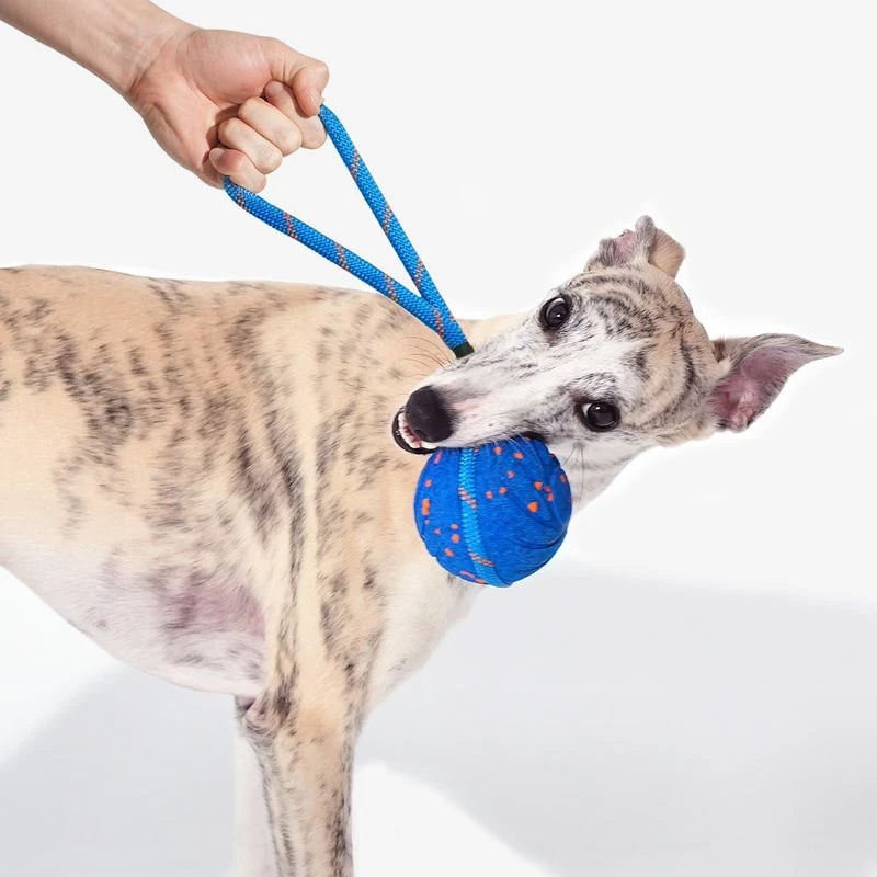 Cheerble Wicked Ball Air Rope suņu rotaļlieta, Royal Blue