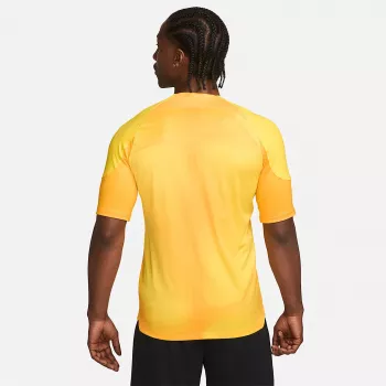 Nike Dri-FIT ADV Gardien IV vārtsargu krekls vīriešiem Opti Yellow/Black M