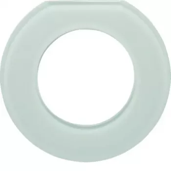 Hager WTD7173GWG Stikla rāmis, 1-vietas, Polar White