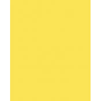 Folia 614/50 12 Dzeltens A4 kartons 300 g/m², 50 loksnes