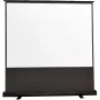 Reflecta Portable Floor Screen 226x200 cm 100 collu 16:9