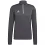 adidas Entrada 22 Treniņkrekls Grey Four XL