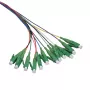 LogiLink optisko šķiedru pigtail komplekts 12 x LC/APC OS2 (G657.A1), 2m, krāsains, zaļš savienotājs