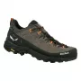 Salewa Alp Trainer 2 GTX vīriešu pārgājienu apavi Bungee Cord/Melns UK 7.5 (EU 41)