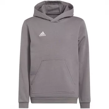 adidas Entrada 22 Hoody bērnu sporta džemperis pelēks 116 cm
