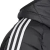 adidas Tiro 24 Winter bērnu jaka Black IP6670 128cm