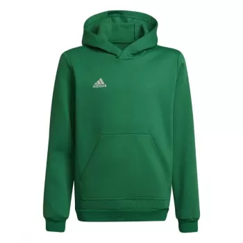 adidas Entrada 22 Hoody bērnu sporta džemperis zaļš 116cm