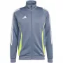adidas Tiro 24 Training vīriešu sporta krekls Grey IV6939 S