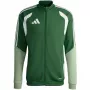 adidas Tiro 26 Competition treniņu tops vīriešiem, zaļš, M izmērs
