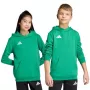 adidas Entrada 26 Hoody Bērniem Zaļš 140 cm