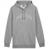 PUMA Essentials+ Logo LAB Gradient Hoodie FL Grey vīriešu flīsa džemperis ar kapuci, izmērs L