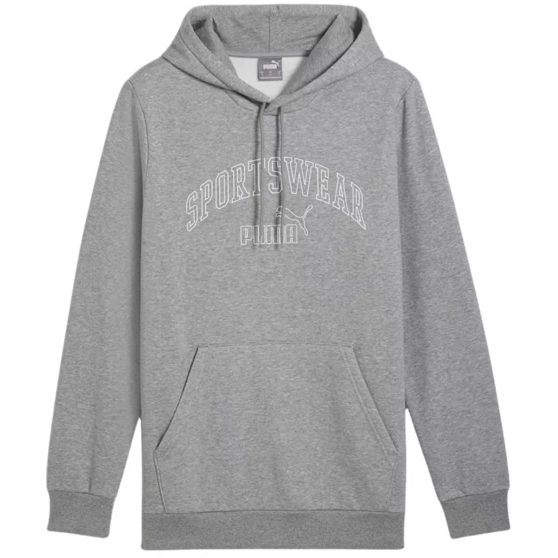 PUMA Essentials+ Logo LAB Gradient Hoodie FL Grey vīriešu flīsa džemperis ar kapuci, izmērs L
