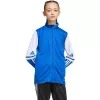 adidas Squadra 25 Training bērnu sporta krekls zils/balts JD4798 116cm