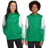 adidas Squadra 25 bērnu kapuce Green/White 164cm