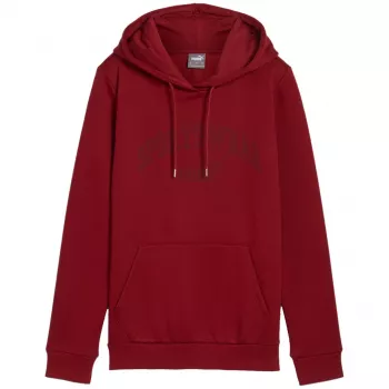PUMA Essentials+ Logo LAB vīriešu kapuce FL bordo, izmērs L