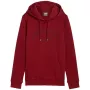 PUMA Essentials+ Logo LAB vīriešu kapuce FL bordo, izmērs L