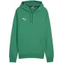 PUMA Team Goal Casuals Hoody vīriešu piparmētru zaļš flīsa pullover
