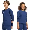 adidas Entrada 26 Sporta Džemperis Bērniem Navy Blue 164