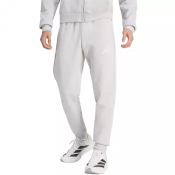 adidas Entrada 26 vīriešu sporta bikses pelēkā krāsā, S izmērs (JZ9139)