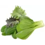 Click & Grow PPMAGX9 Smart Garden augu kapsulas 9 gab. (jaukts sortiments, bioloģiski noārdāmas, ar kupoliem)