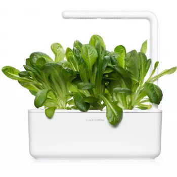 Click & Grow SGR50X3 Salātu augu paciņu papildinājums (3 iepakojums)