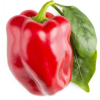 Click & Grow SGR63X3 Smart Garden 3 augu kapsulu komplekts (3 kapsulas, bioloģiski noārdāmas, iepriekš apsētas, Smart Soil)