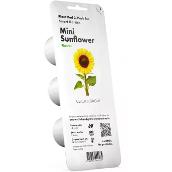 Click & Grow mazo saulespuķu augu kapsulas Smart Garden dārzam, 3 gab. (SGR65X3)