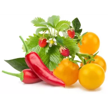 Click & Grow augļu un dārzeņu maisījuma augu kapsulas Smart Garden dārzam, 9 gab. (PPMFVX9)