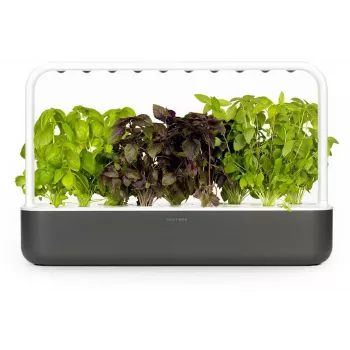 Click & Grow Smart Garden 9 viedais dārzs, pelēks (SG9S8UNI)