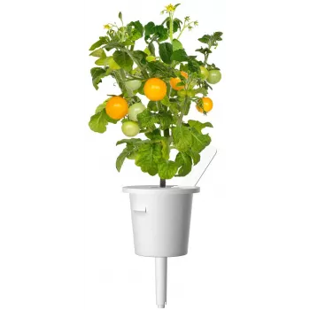 Click and Grow Smart Garden papildinājums 3 gab. Mini tomātu stādīšanas kapsulas