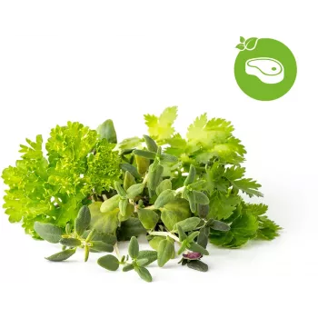 Click & Grow garšaugu maisījuma steikiem augu kapsulas Smart Garden dārzam, 9 gab. (PPMSSX9)