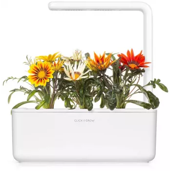 Click & Grow gazānijas augu kapsulas Smart Garden dārzam, 3 gab. (SGR92X3)
