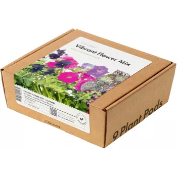 Click & Grow krāsainu ziedu maisījuma augu kapsulas Smart Garden dārzam, 9 gab. (PPMVBX9)