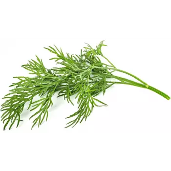 Click & Grow SGR49x3 Diļļu augu pākstis (3 iepakojums)