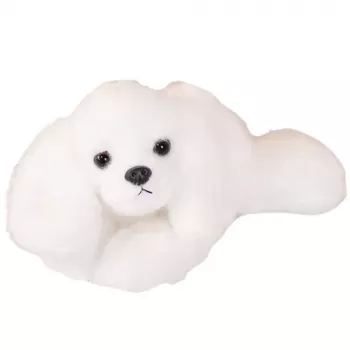 LEAN TOYS plīša Maltas suns ar svērtām ķepām balts 30 cm