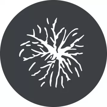 Godox GP GS2 Gobo komplekts GP projekcijas stiprinājumam (6 raksti)
