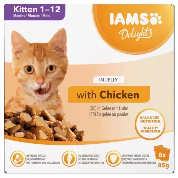 EUKANUBA IAMS DELIGHTS Kitten in Jelly mitēns kaķēnu barība slapjā veidā 8x85g