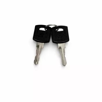 DSIT DS-SIDELOCK-KEY rezerves atslēga servera skapja sānu paneļiem (2 gab.)