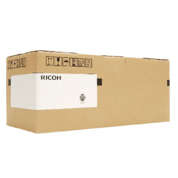 Ricoh AA012131 attīstības filtrs, 25 mm, vienfāzes EMI/RFI tīkla filtrs