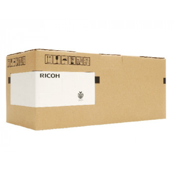 Ricoh AA012131 attīstības filtrs, 25 mm, vienfāzes EMI/RFI tīkla filtrs