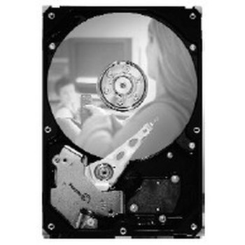 SEAGATE 250GB 3,5 collu ST3250820SCE SATA cietais disks