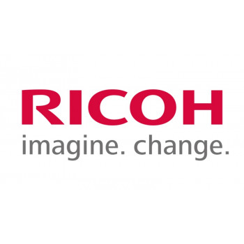 Ricoh B2473340 (B247-3340) Attīstīšanas filtrs