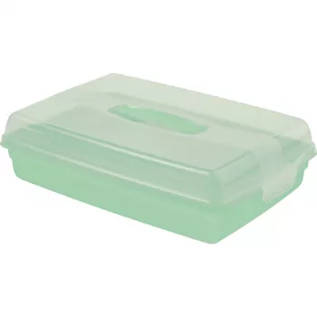 Curver taisnstūra kūku transporta kaste 45 x 29,5 x 11,1 cm gaiši zila